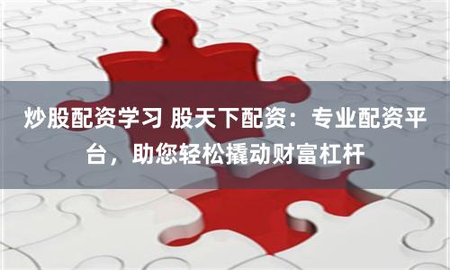 炒股配资学习 股天下配资：专业配资平台，助您轻松撬动财富杠杆